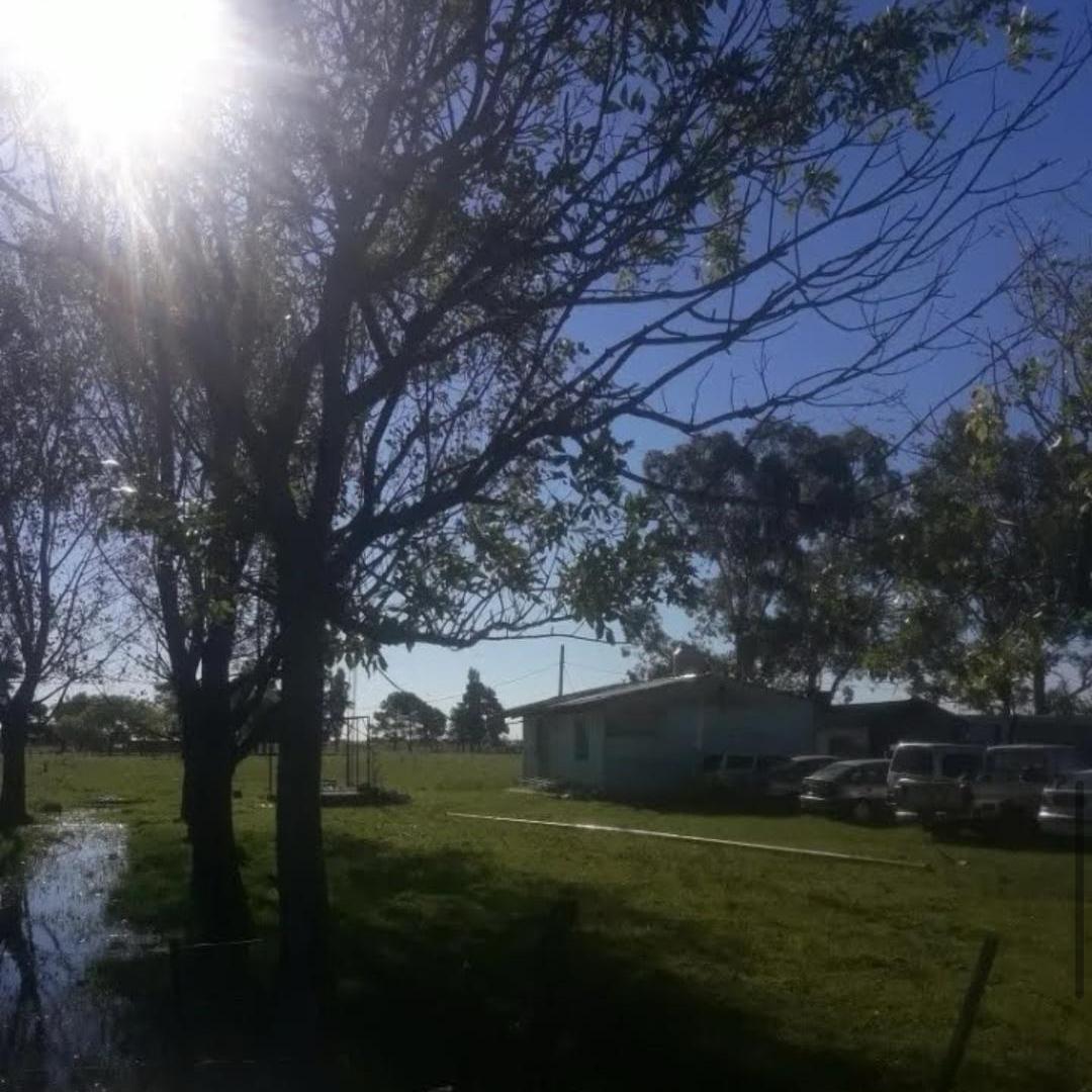 Foto de Campo de 6 Hectáreas a metros de Ruta 6, San Vicente., imagen 5