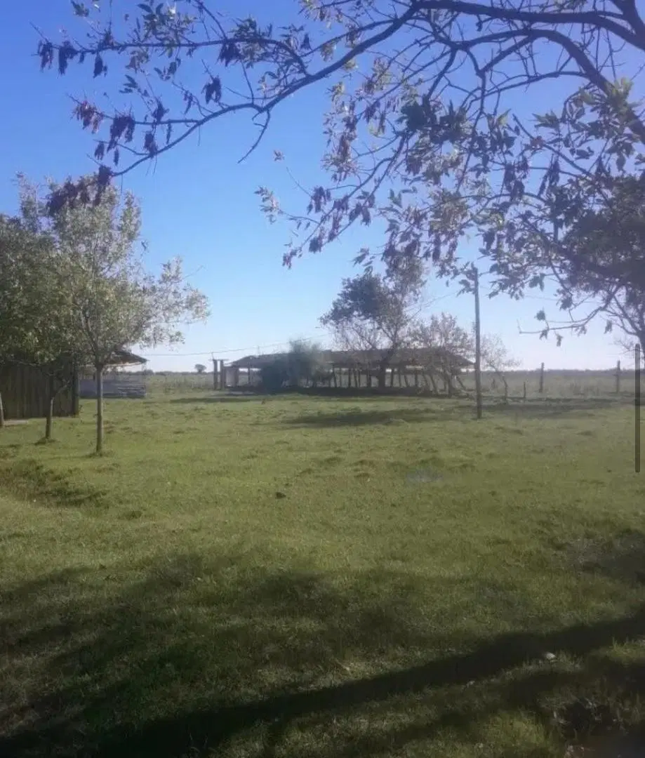 Campo de 6 Hectáreas a  metros de Ruta 6, San Vicente. 4