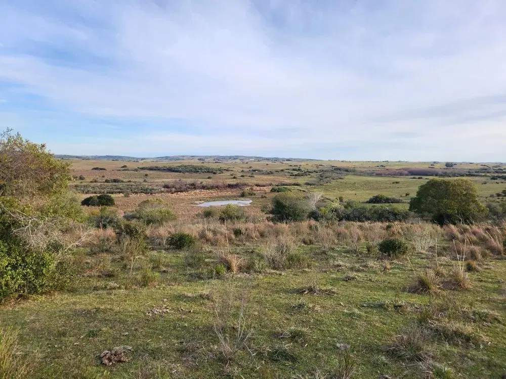 Campo de 39 has en Maldonado, Uruguay 4