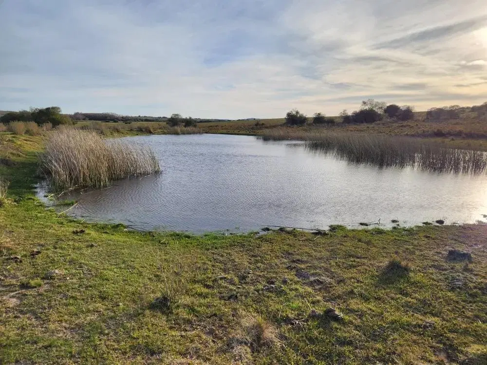 Campo de 39 has en Maldonado, Uruguay 5