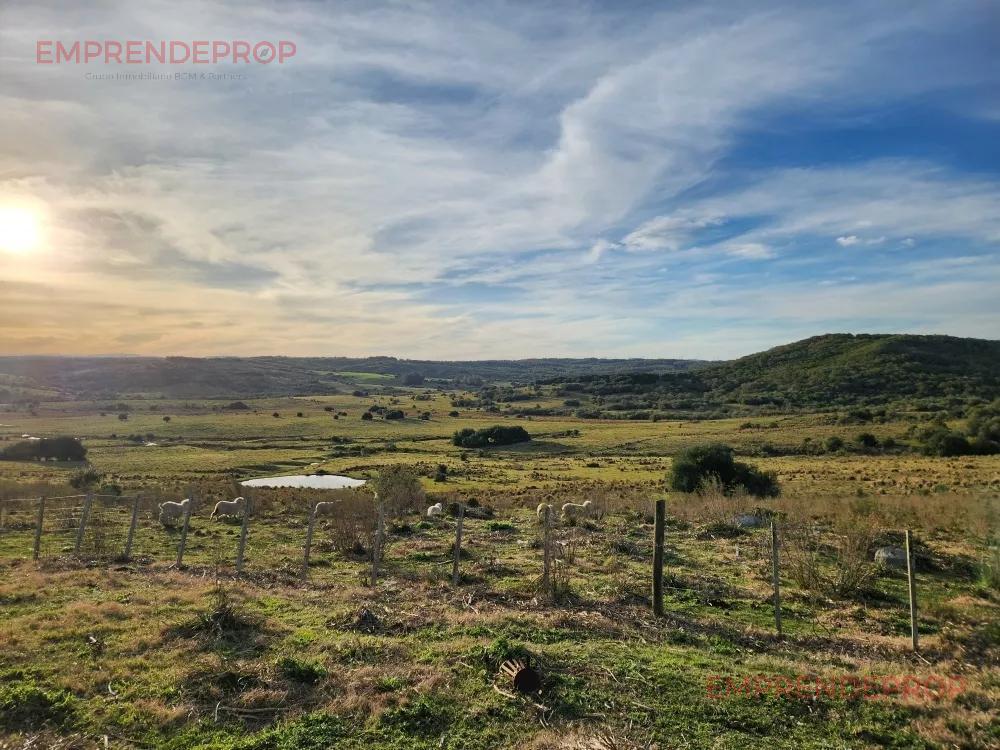 Foto de Campo de 39 has en Maldonado, Uruguay, imagen 3
