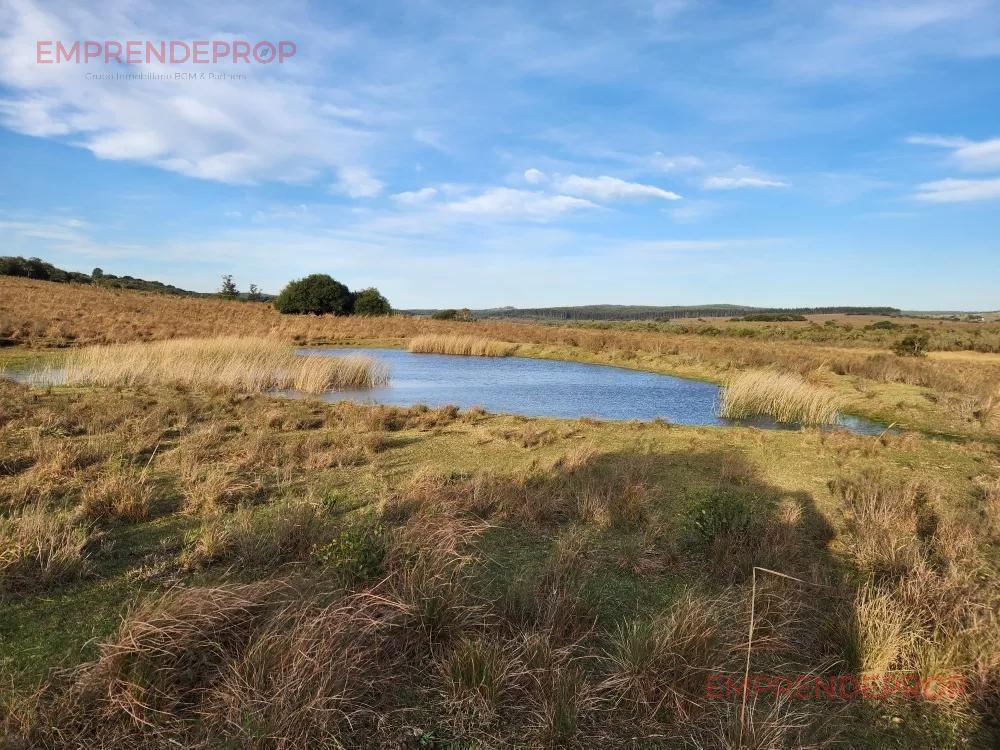 Foto de Campo de 39 has en Maldonado, Uruguay, imagen 5