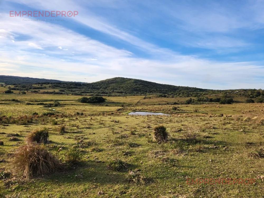 Foto de Campo de 39 has en Maldonado, Uruguay, imagen 2