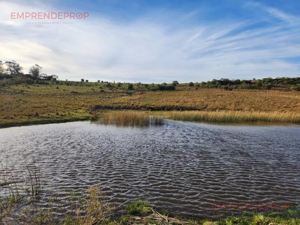 Foto de Campo de 39 has en Maldonado, Uruguay, imagen 4