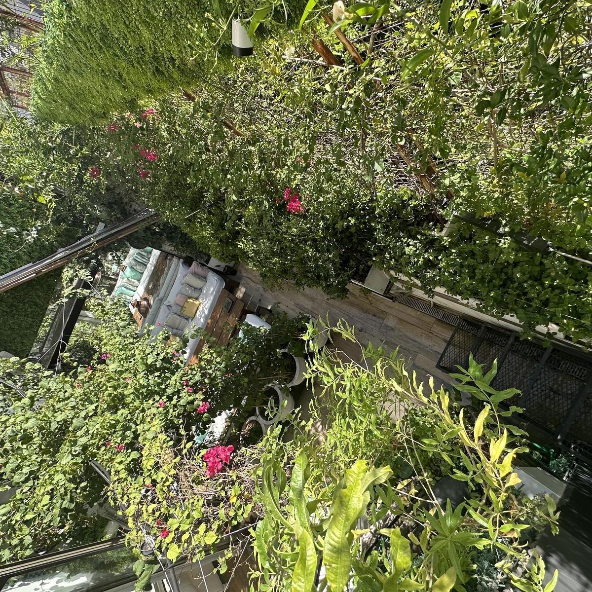 Departamento - Palermo 1