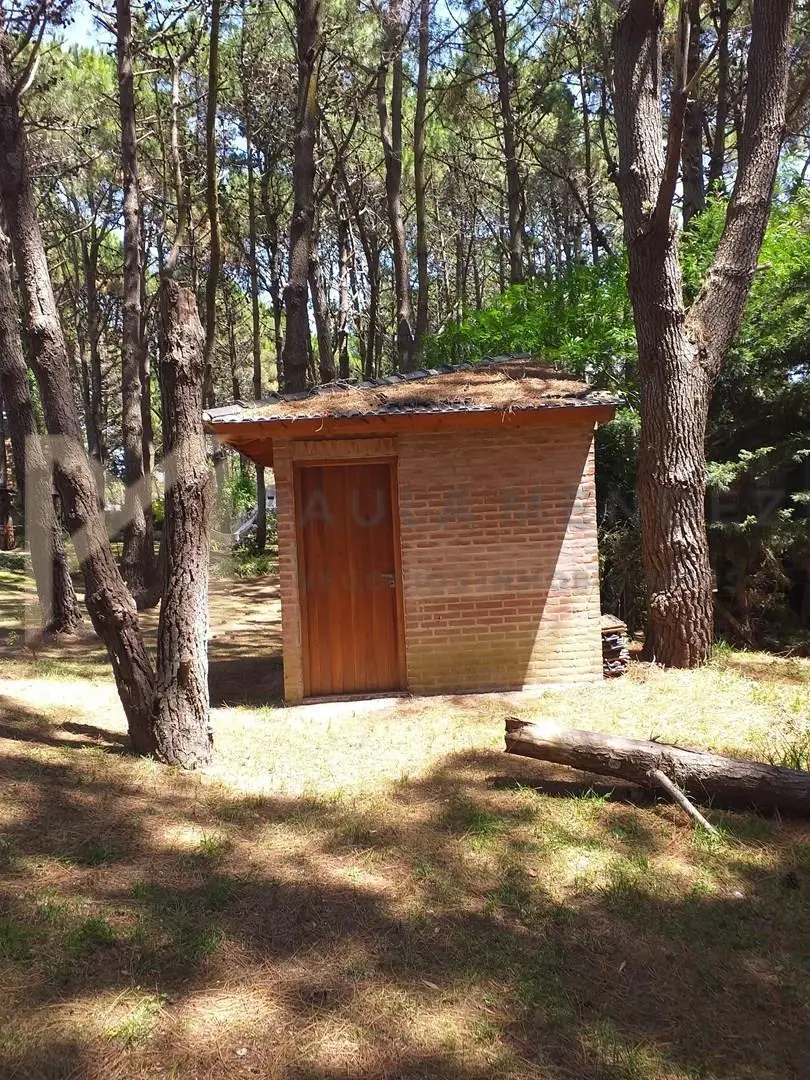 Casa Chalet  en Venta en Costa Del Este, Costa Atlántica, Buenos Aires 3