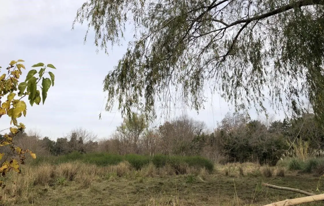 Terreno Lote  en Venta en Benavidez, Tigre, G.B.A. Zona Norte 7