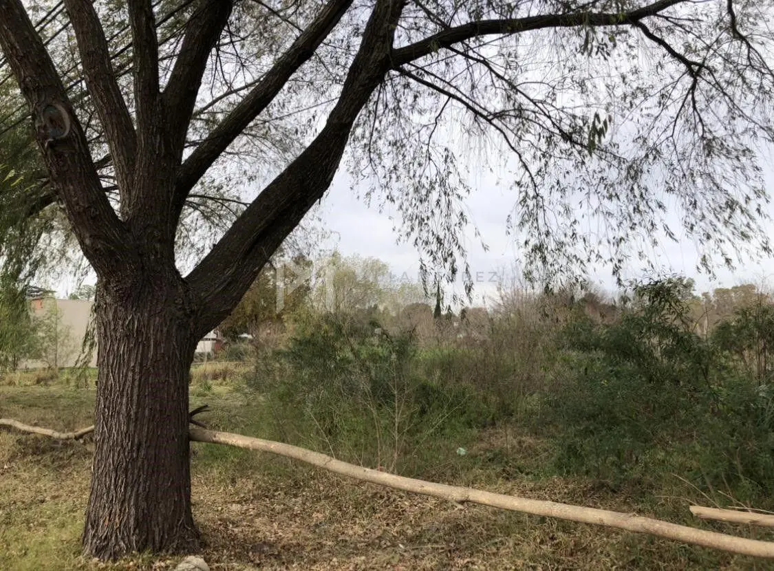 Terreno Lote en Venta en Benavidez, Tigre, G.B.A. Zona Norte 5