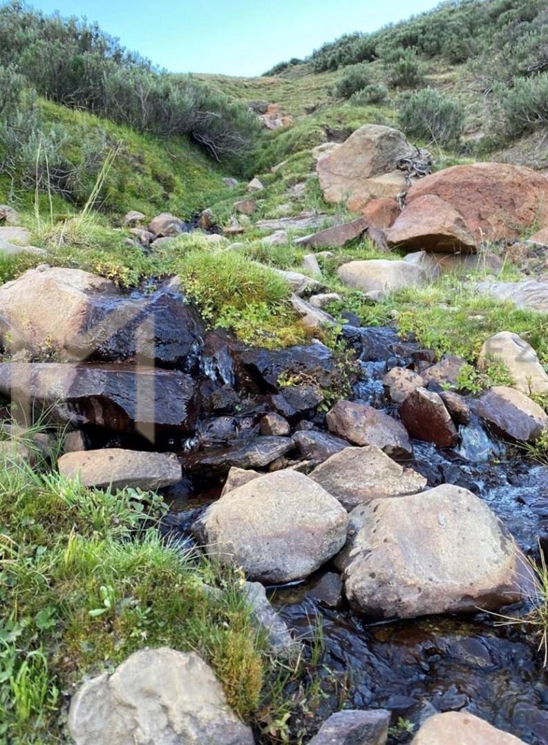 Foto de Terreno Campo en Venta en Malargue, Mendoza, Argentina, imagen 3