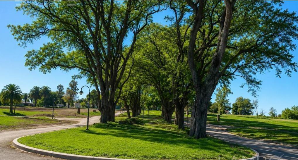 Foto de Terreno en Estancia Carabassa, imagen 1