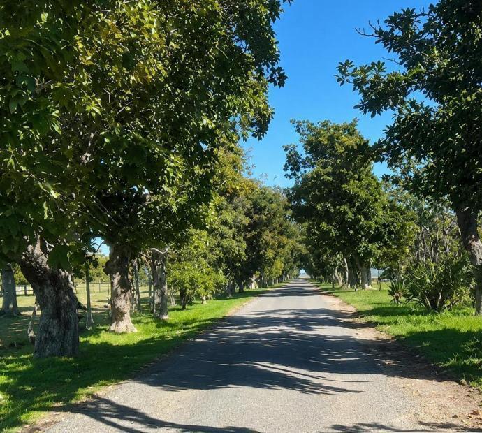 Foto de Terreno en Estancia Carabassa, imagen 4