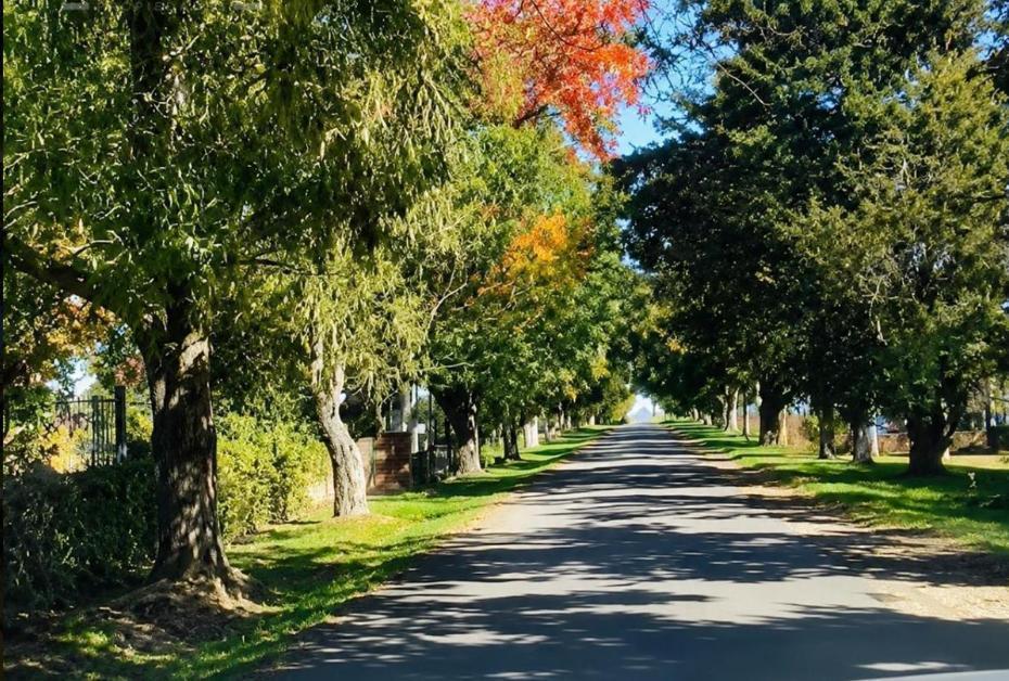 Foto de Terreno en Estancia Carabassa, imagen 2