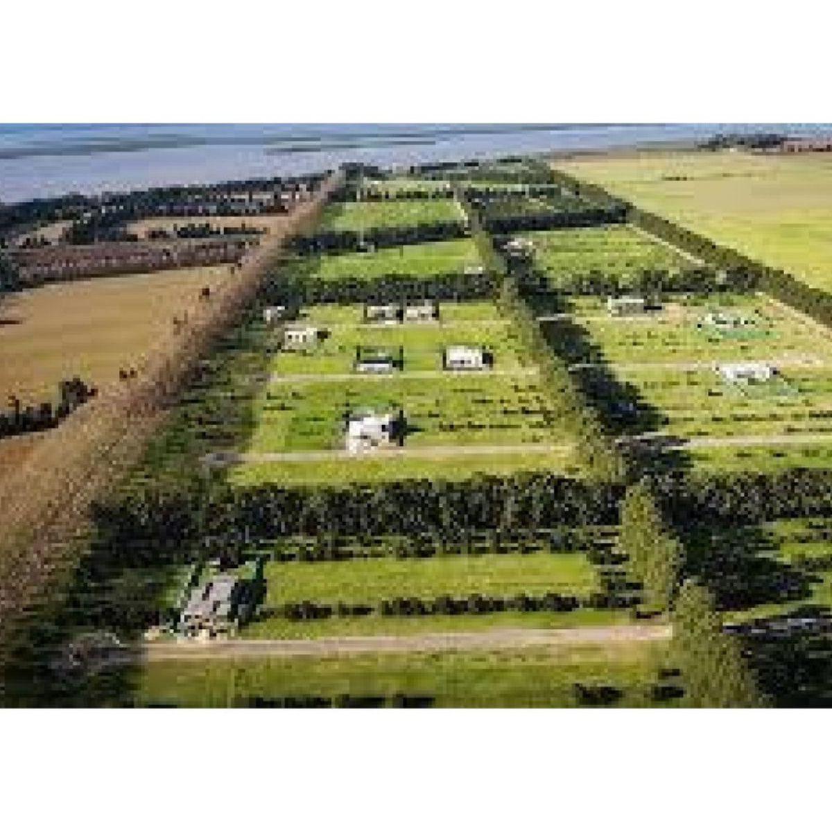 Lote en Club de Campo Azahares del Paraná 1