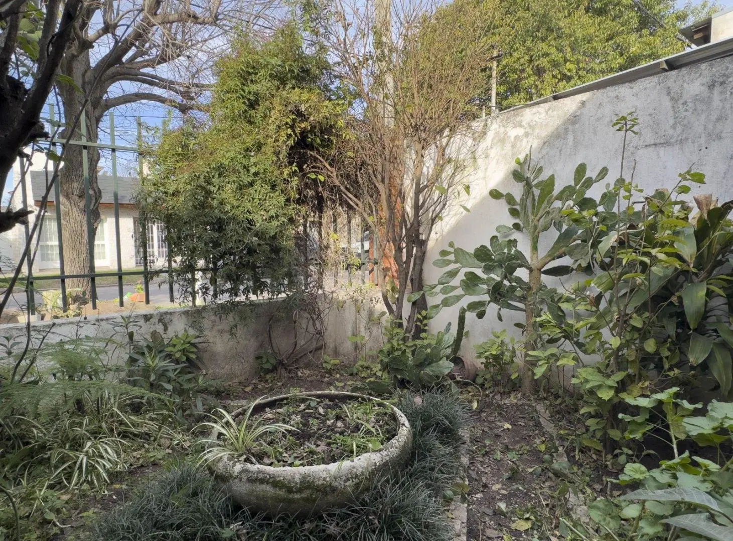 Vendo casa de 2 dormitorios en barrio Belgrano! 2
