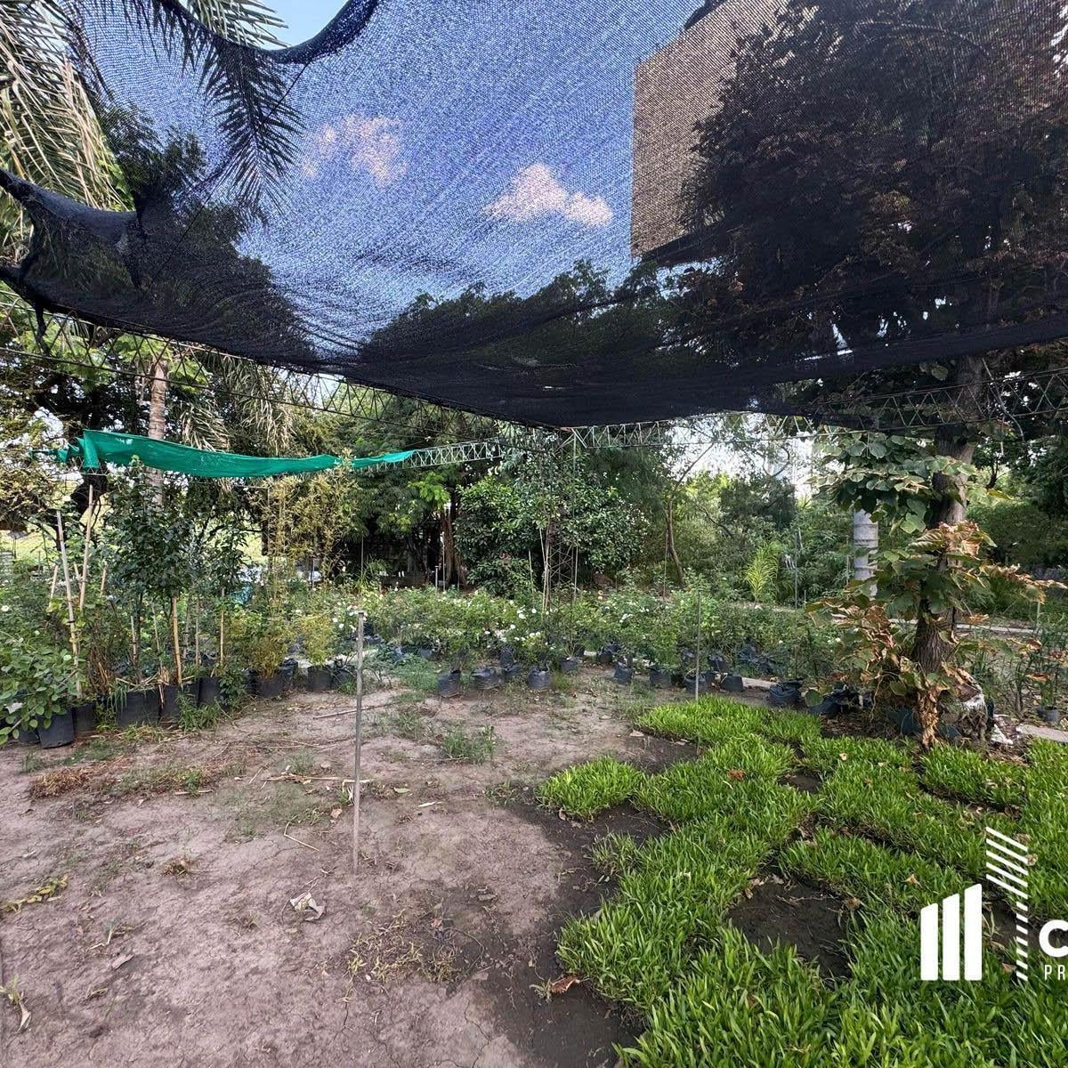Foto de Terreno en venta de 2617,63 m² ubicado en una excelente zona Fisherton, imagen 5