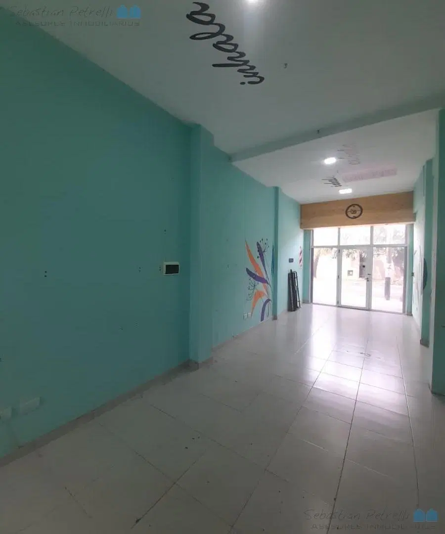 Alquiler Local - Villa Luzuriaga 4