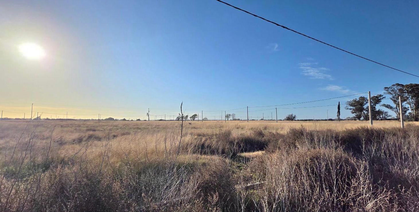 Foto de Terreno en Santa Rosa, imagen 3