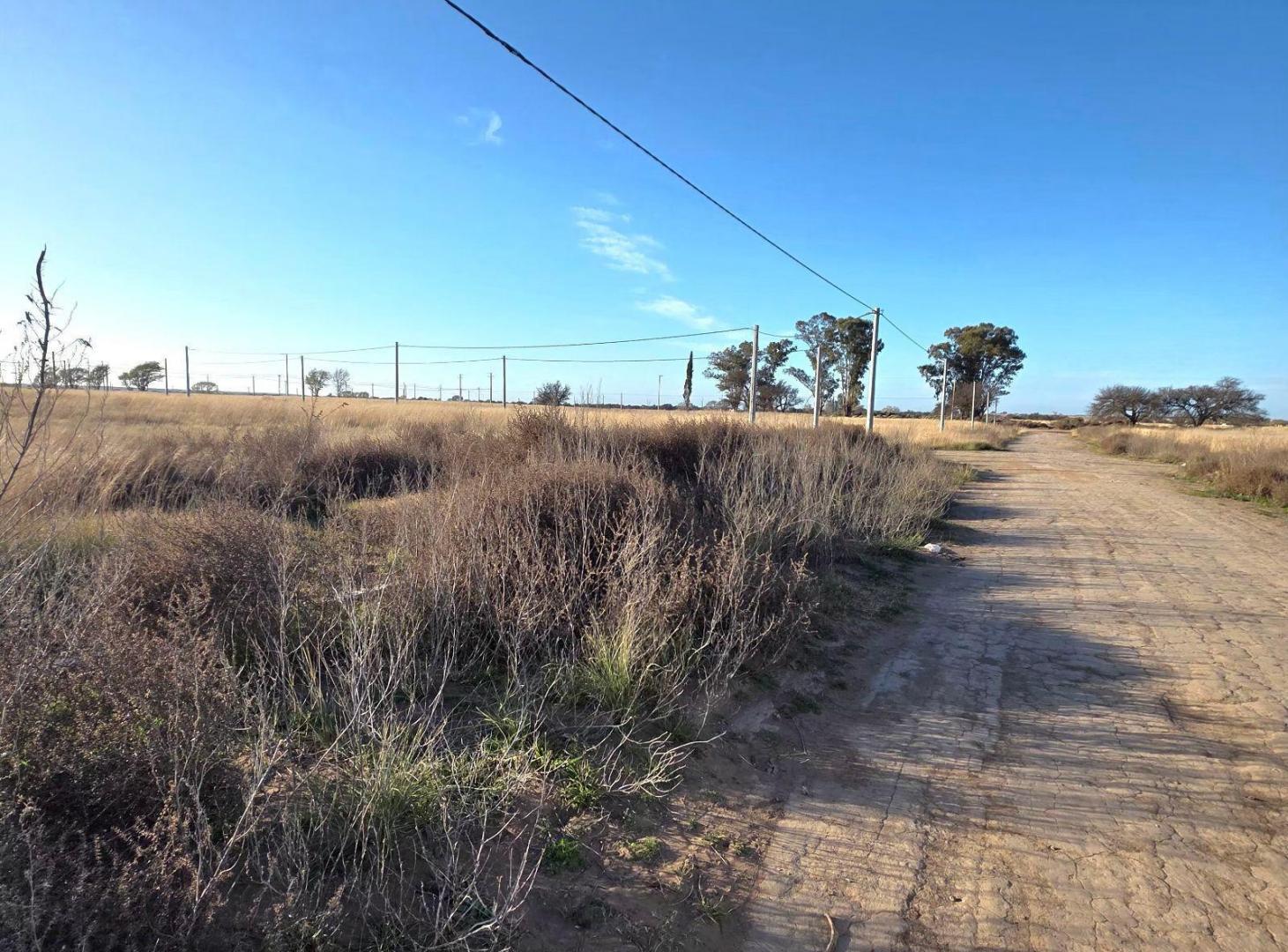 Foto de Terreno en Santa Rosa, imagen 5
