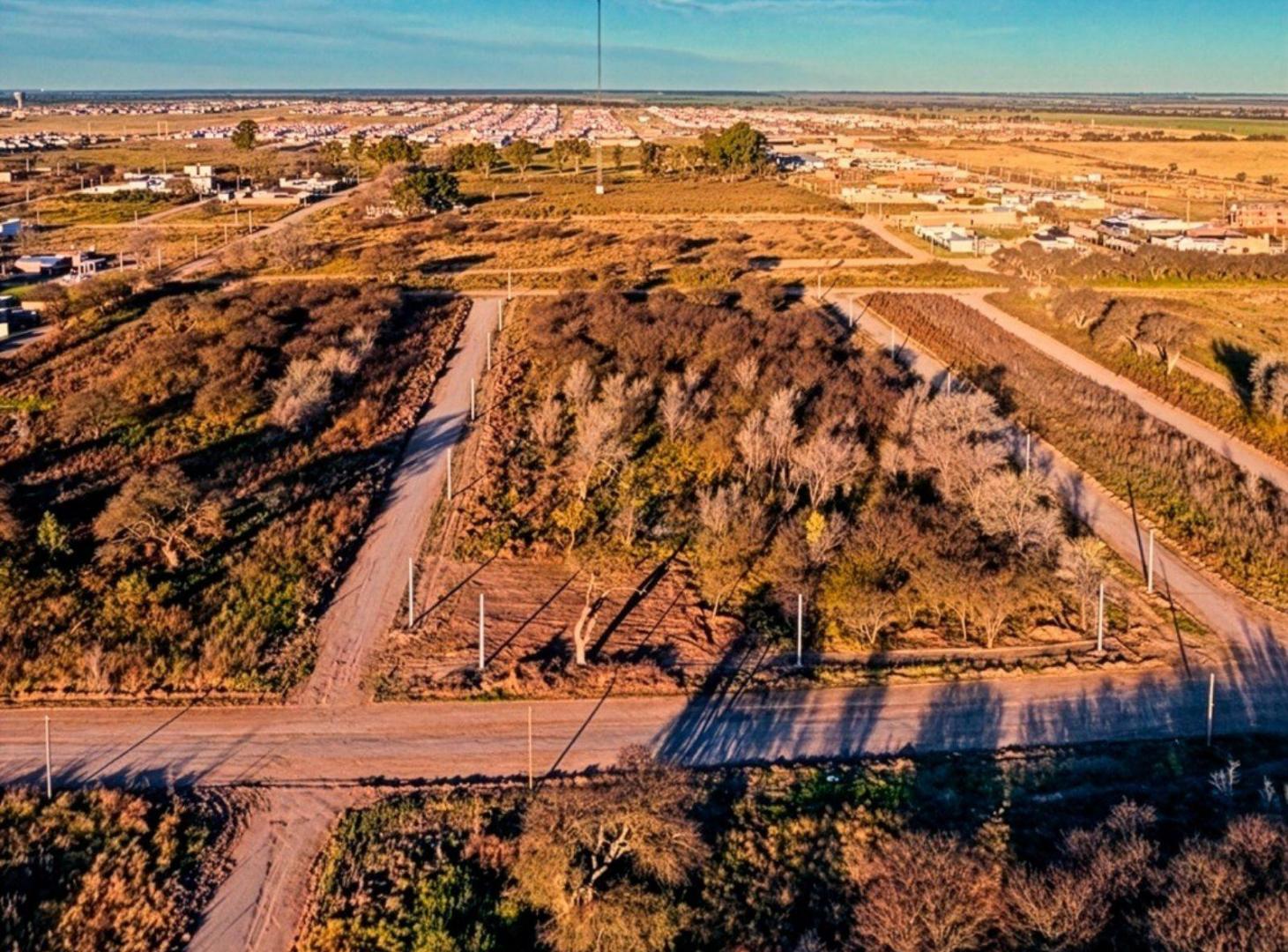 Foto de Terreno - Zona Quintas Sur, imagen 2