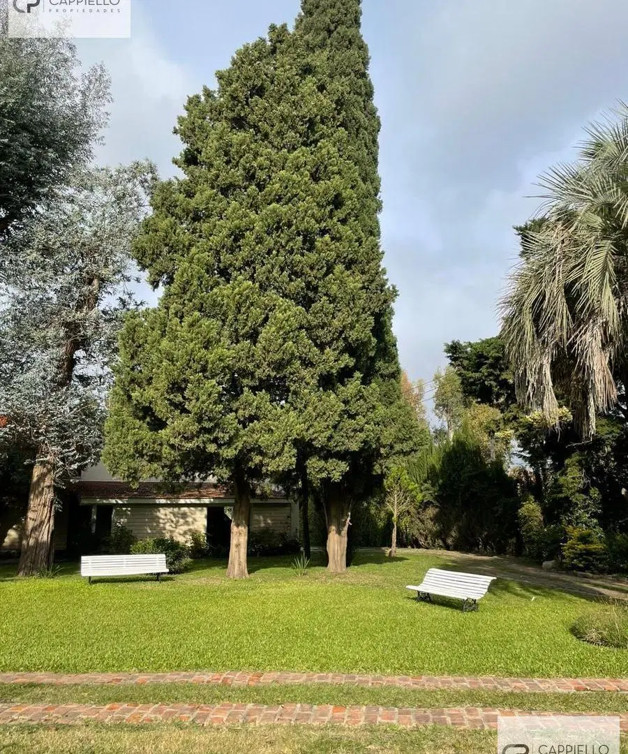 Gran quinta en venta con añosa arboleda 3