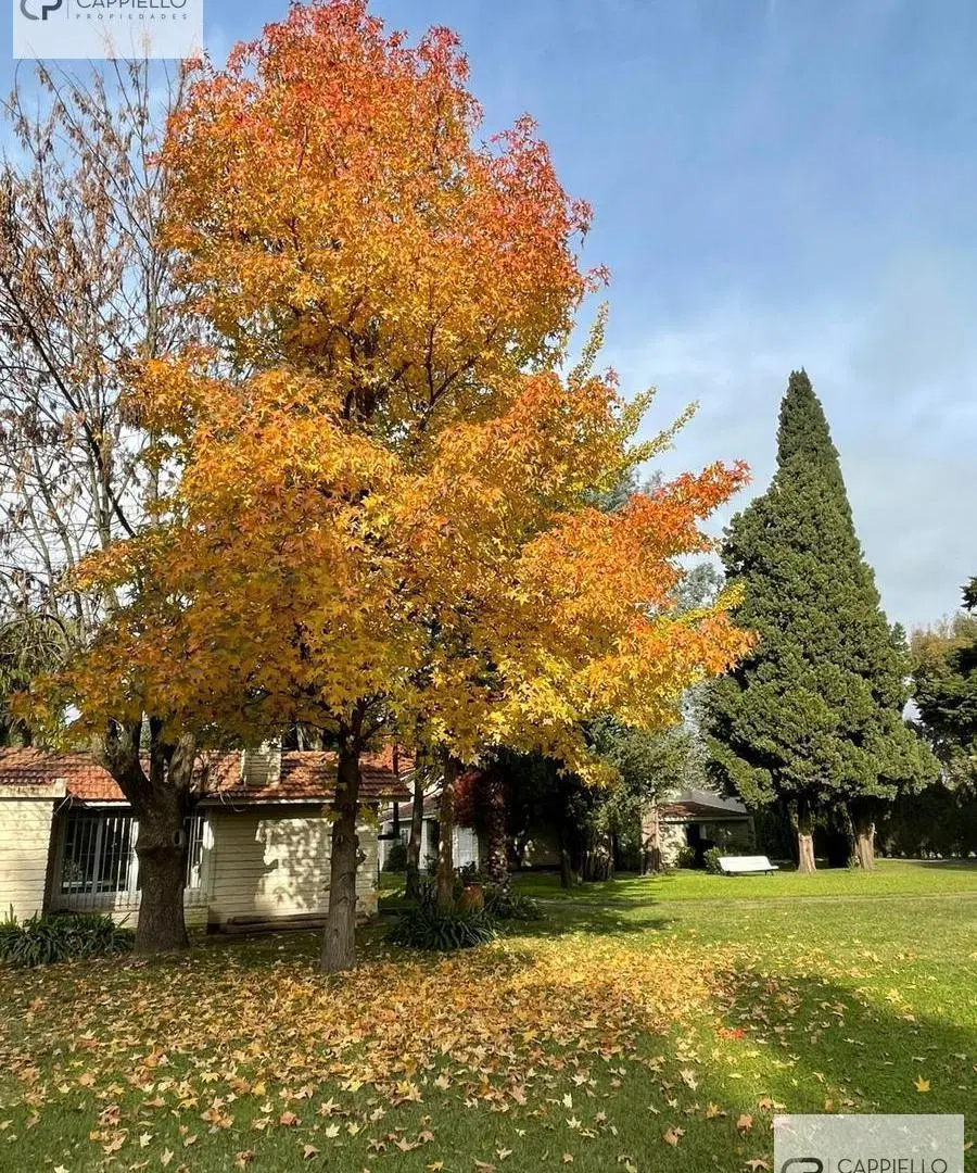 Gran quinta en venta con añosa arboleda 2