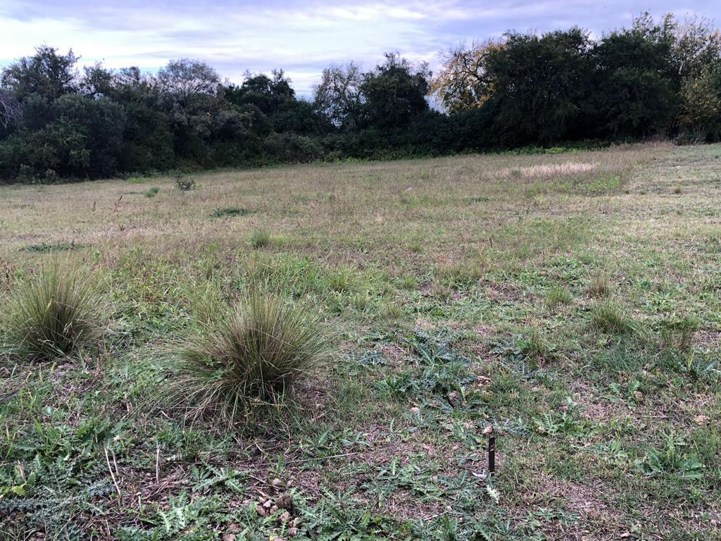 Venta Terreno en La Aguadita Valle de Taslasierra Córdoba 2