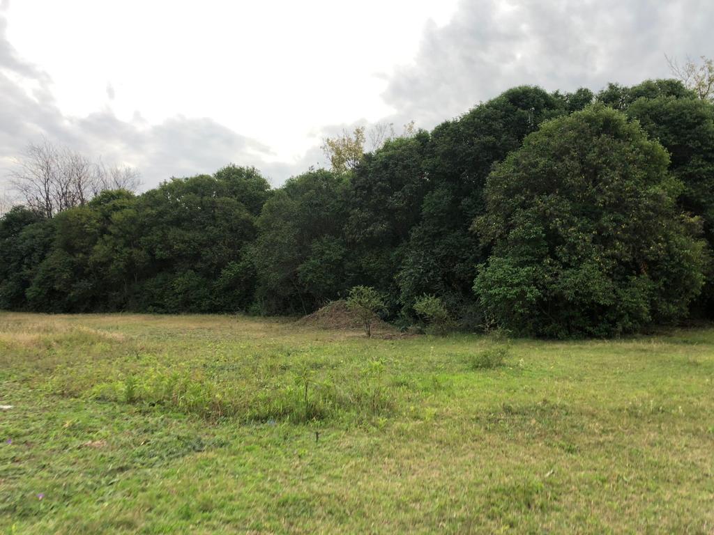 Venta Terreno en La Aguadita Valle de Taslasierra Córdoba 1