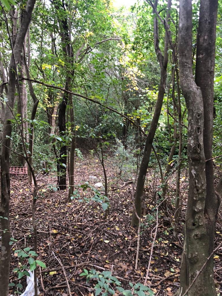 Venta Terreno en La Aguadita Valle de Taslasierra Córdoba 3