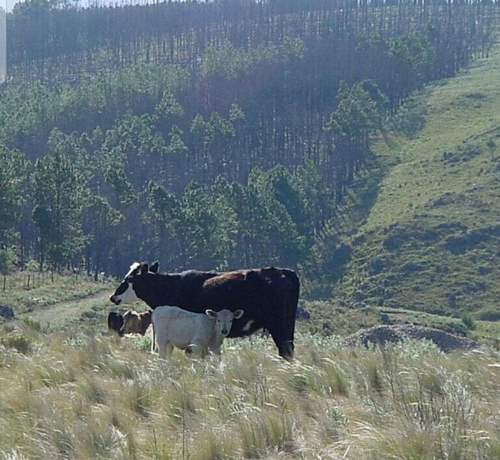 Fantásticos Lotes Desde 2000 m² en Loma del Tigre, Camino a La Cumbrecita - Cba 4