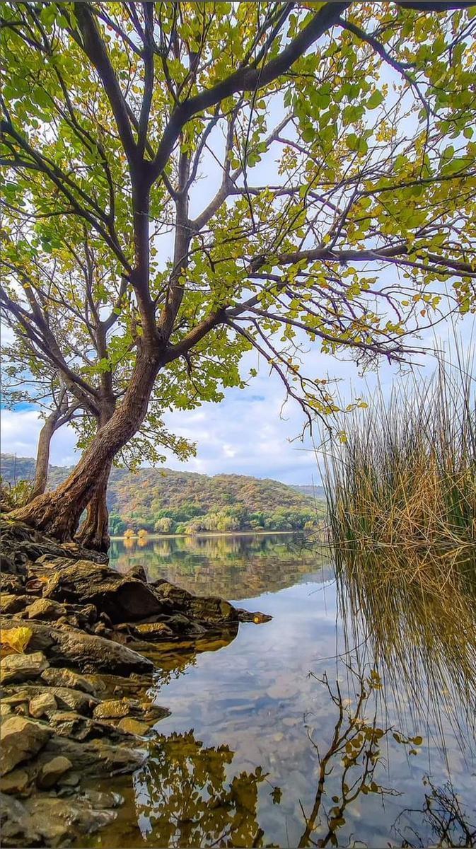 Foto de Vendo Terreno en Boca del Río Las Tapias en loteo frente a Tila Henen, imagen 2