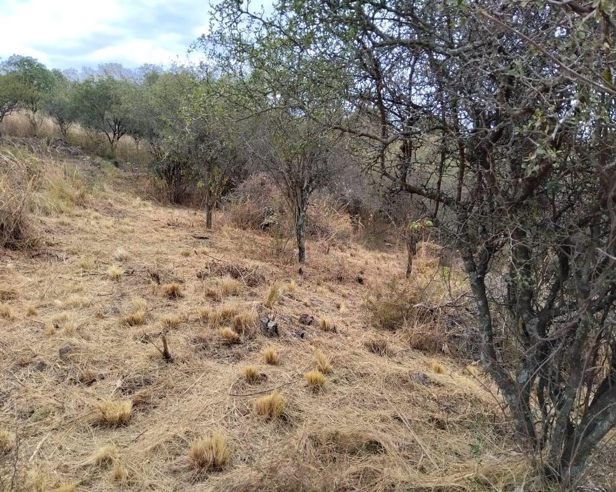 Vendo Bellísimo! Terreno de 1.000 m², en El Pueblito a 500 m de Ruta E53 3