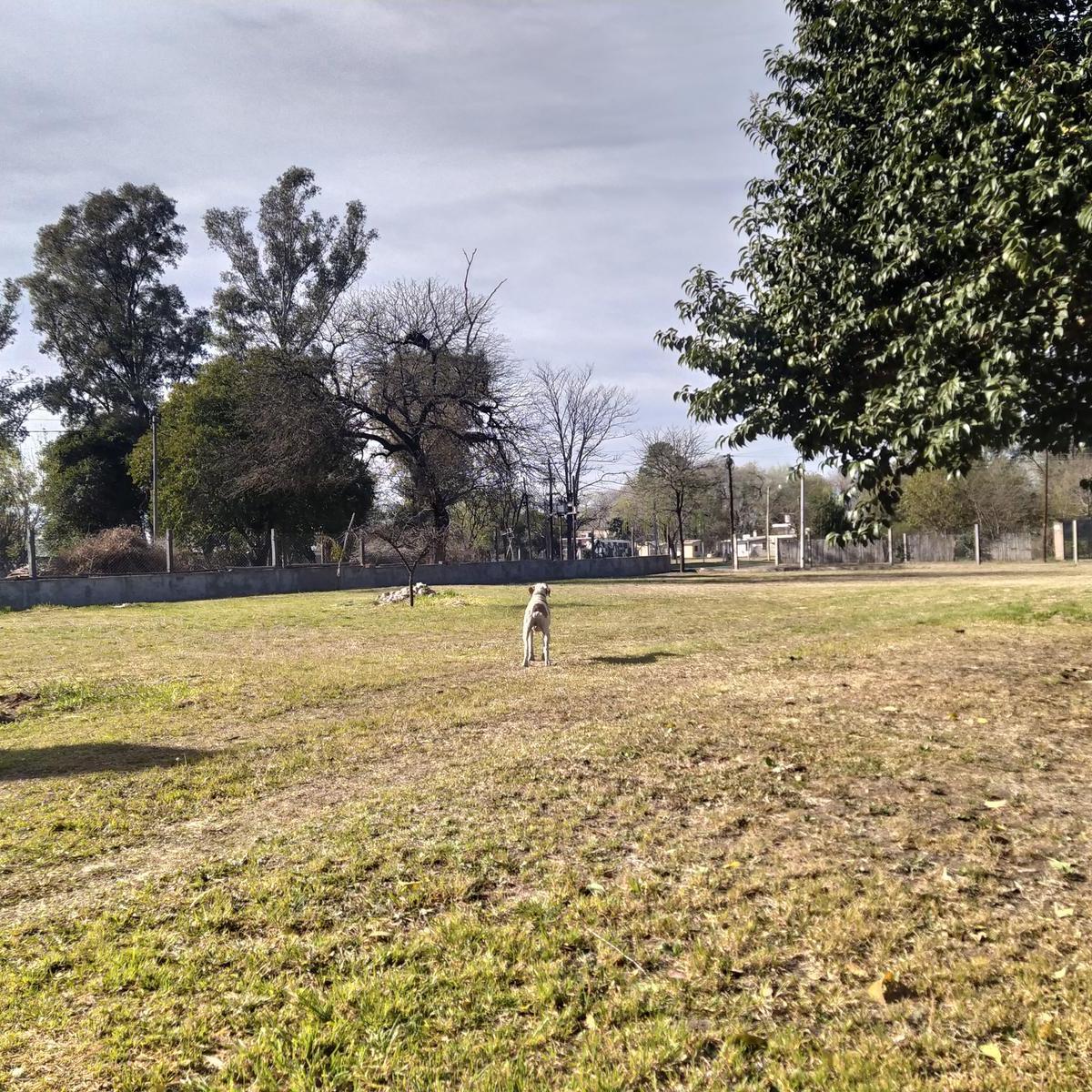 Venta Lote/terreno Esquina - Anisacate - Alta Gracia - Córdoba - Sierras - Oportunidad 3