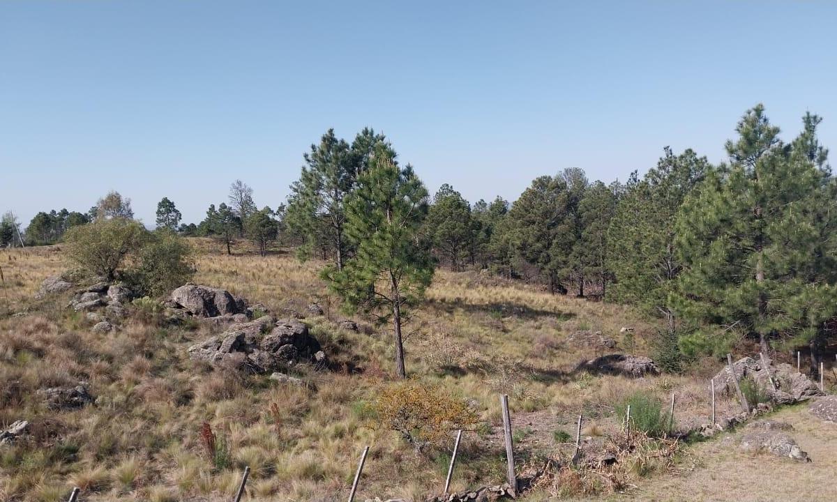 Vendo Lotes Financiado Desde 2100 m² Entrega y 60 C. Los Reartes, La Cumbrecita 4