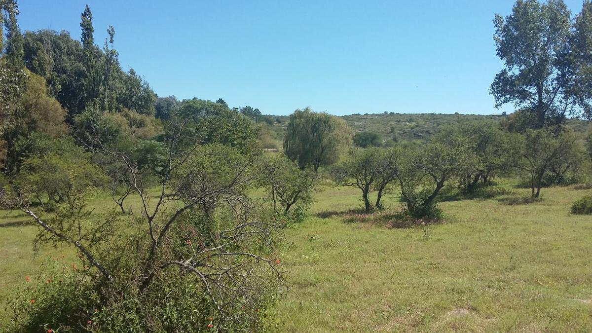 Vendo Terreno en Cabalango con 2 Arroyos - 37 Hectáreas! (Usd 1,27 El M²) 2