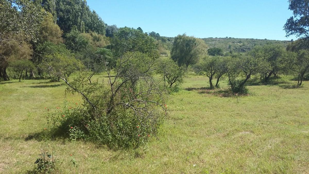 Vendo Terreno en Cabalango con 2 Arroyos - 37 Hectáreas! (Usd 1,27 El M²) 1