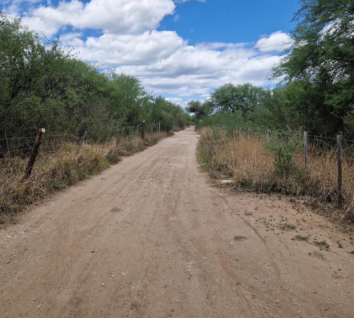 Foto de Casa con Terreno de 5.000 m2, Arboles y Calma en Yacanto Traslasierra!!, imagen 4