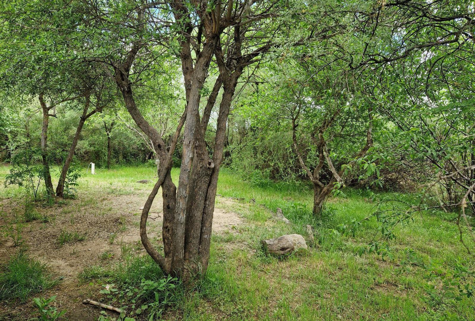 Foto de Casa con Terreno de 5.000 m2, Arboles y Calma en Yacanto Traslasierra!!, imagen 5