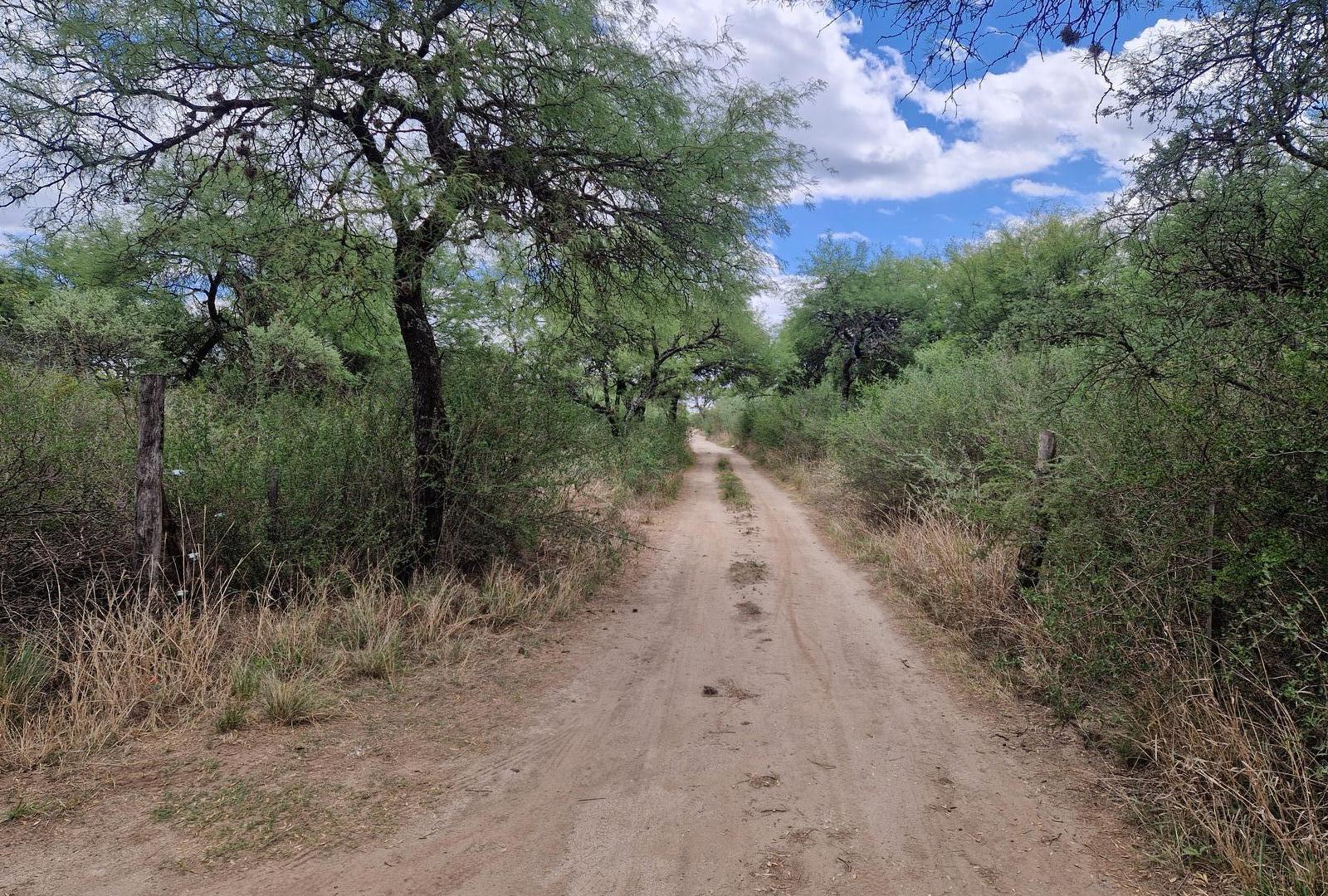 Foto de Casa con Terreno de 5.000 m2, Arboles y Calma en Yacanto Traslasierra!!, imagen 3
