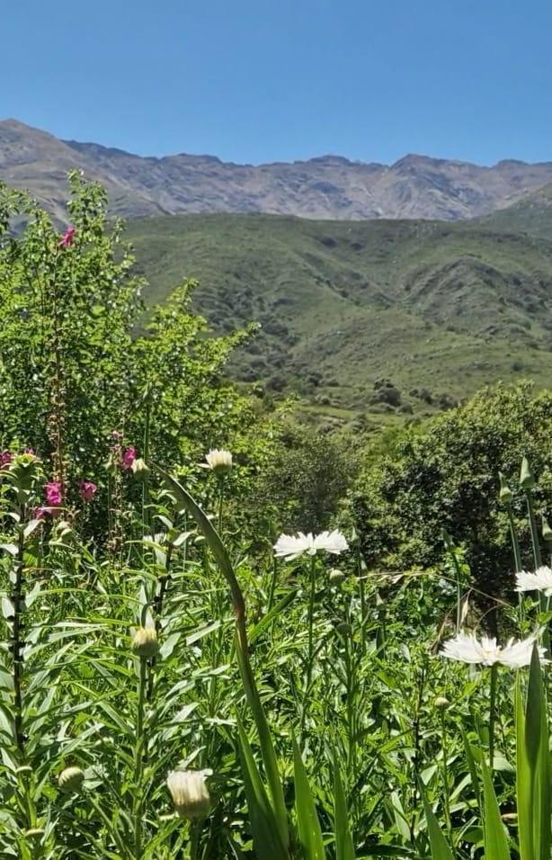 Foto de En Venta Casa / Proyecto Hostel- Imponente Vista a la Montaña!! Los, imagen 4