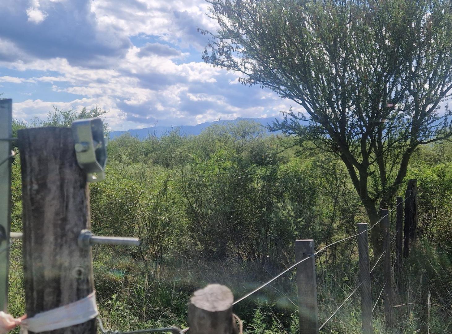 Foto de Terreno en Venta 1890 m2 en Las Tapias, Escritura. Traslasierra!!, imagen 4
