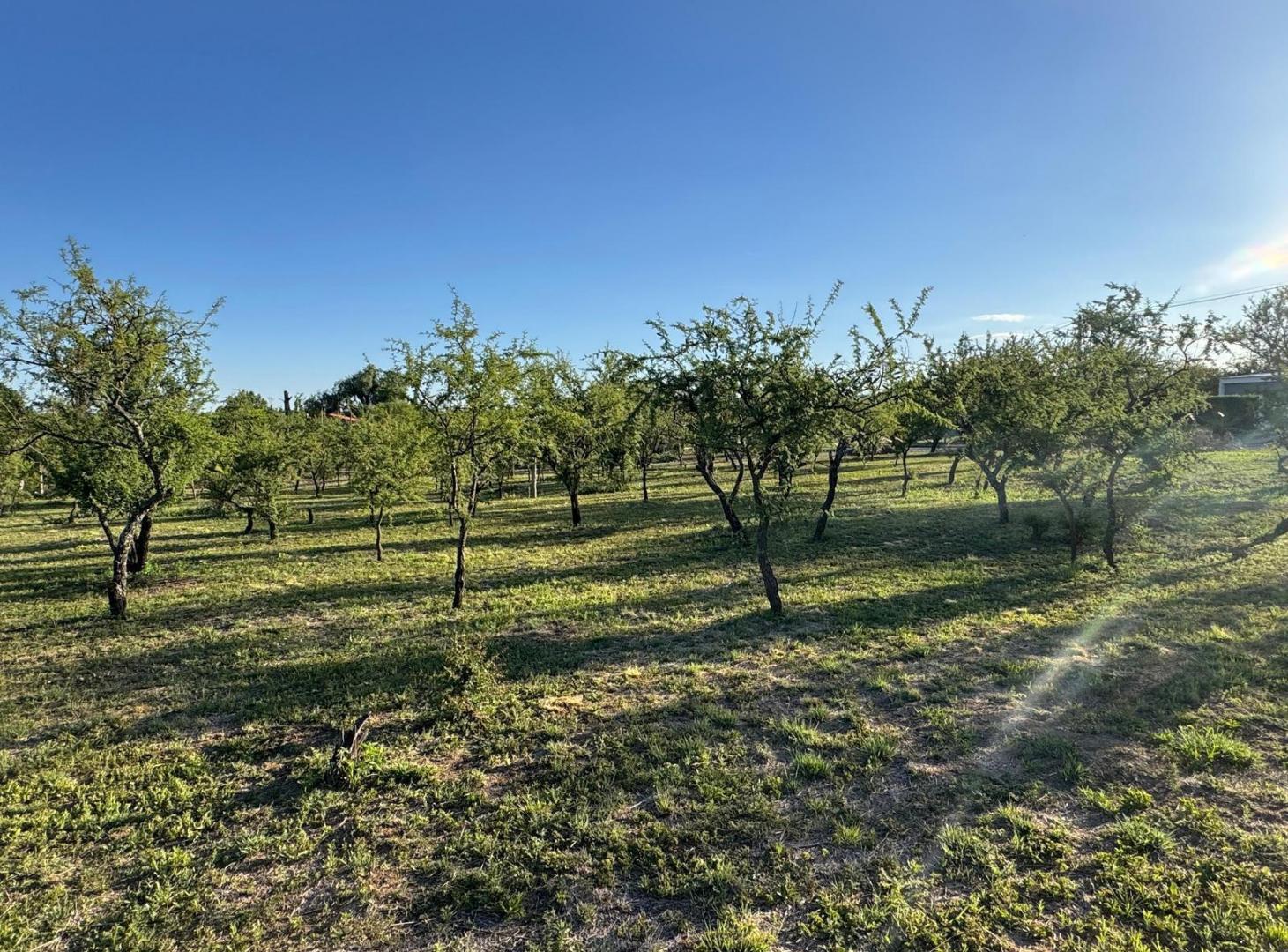 Foto de ¡2 LOTES CONTIGUOS EN VENTA – BARRIO SEMICERRADO CRUCERO SUD – ALTA, imagen 3