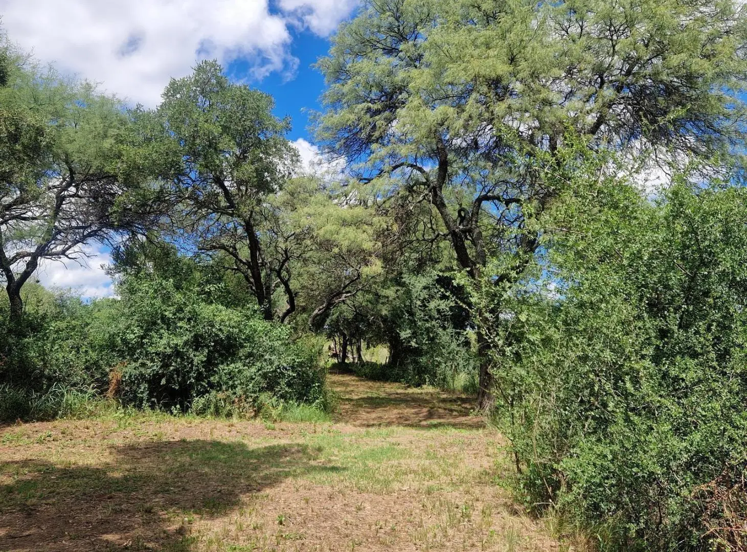 En Venta Casa , Pileta, 6,5 Hectáreas, Vistas, Escritura en La Paz Traslasierra!! 3