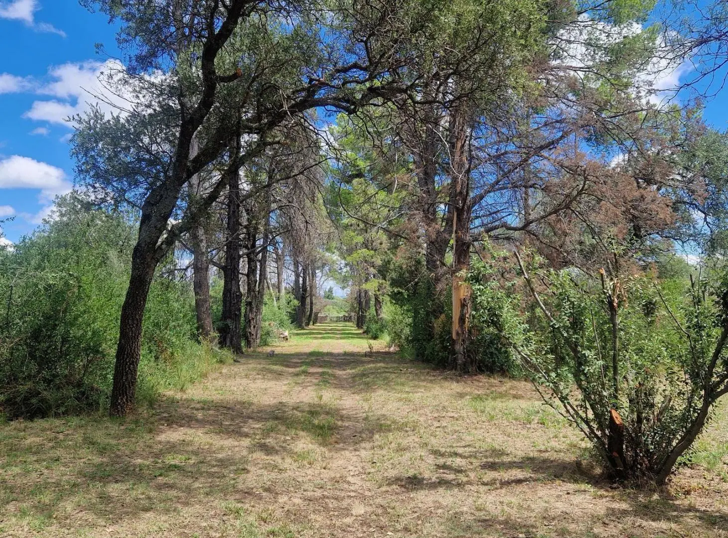 En Venta Casa , Pileta, 6,5 Hectáreas, Vistas, Escritura en La Paz Traslasierra!! 5