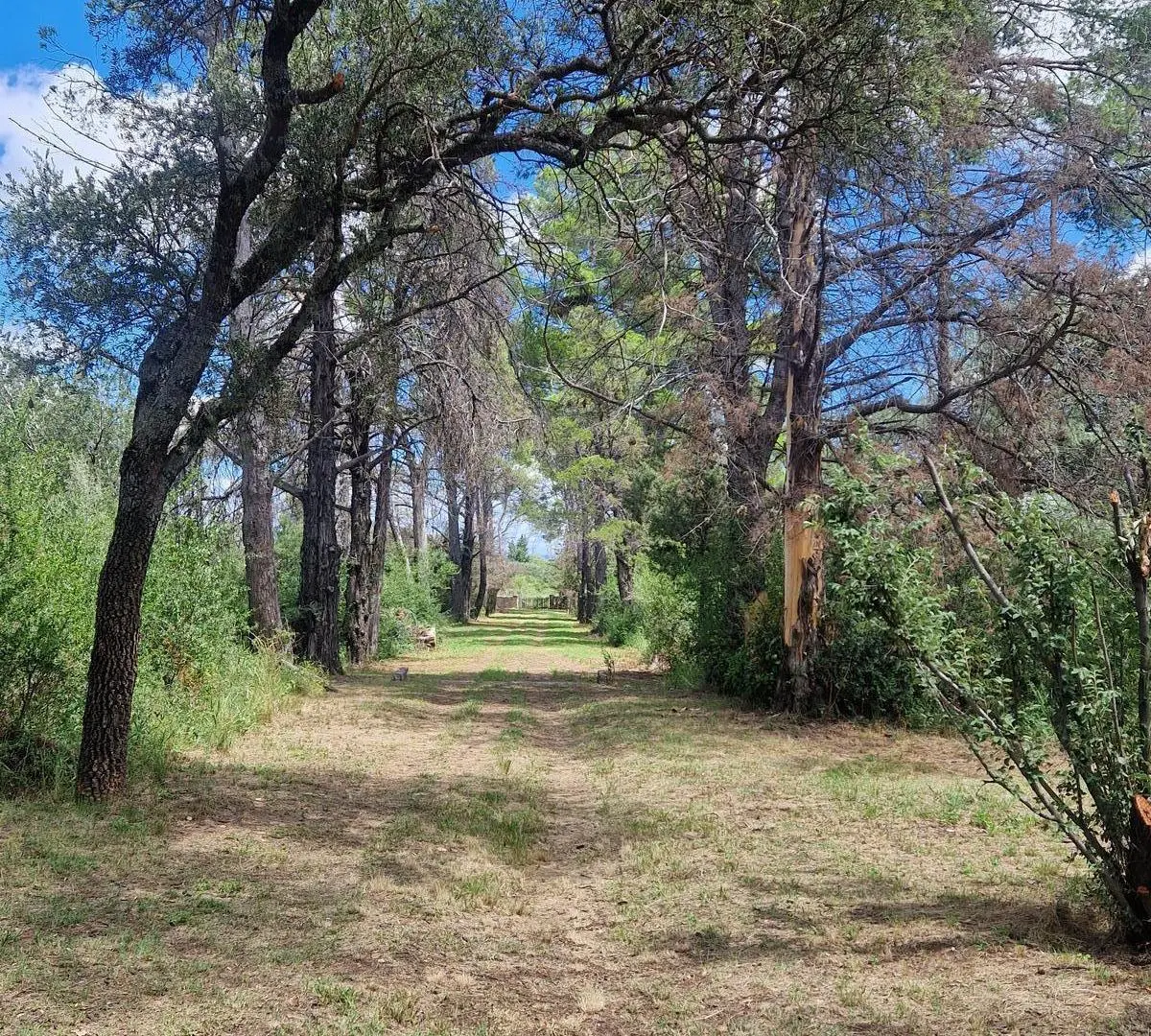 En Venta Casa , Pileta, 6,5 Hectáreas, Vistas, Escritura en La Paz Traslasierra!! 4