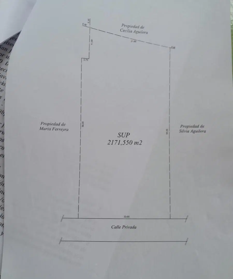 Plano 1