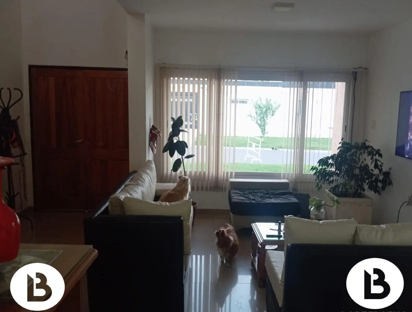 VENTA CASA EN LAS CAñITAS MALAGUEñO 4