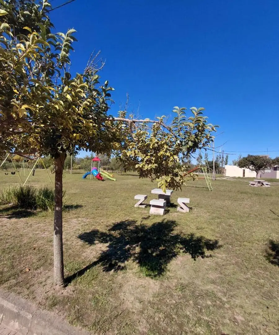 VENTA LOTE EN ALTOS DE LA COLONIA 1