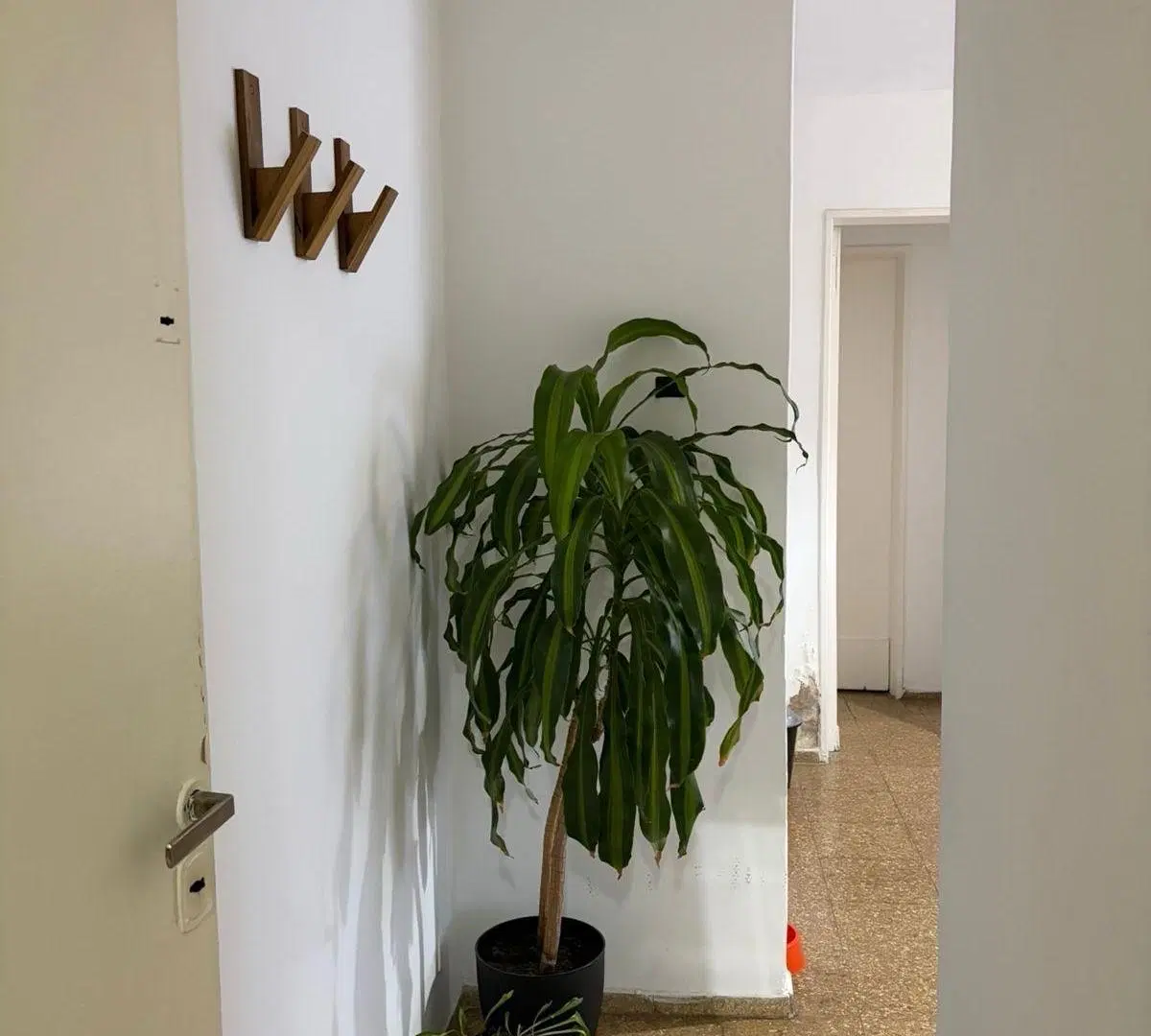 Departamento - Centro 4