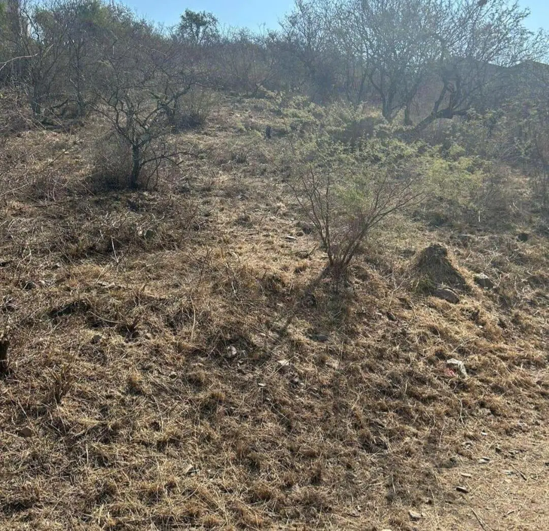 Terreno en La deseada 6
