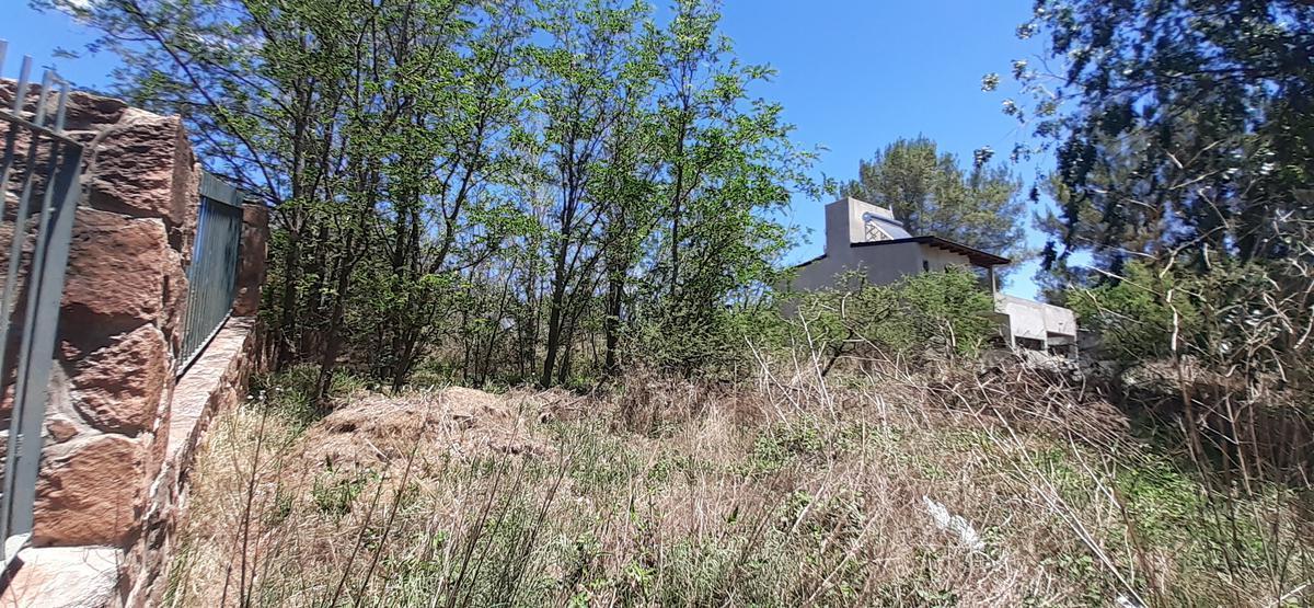 Foto de APTO CREDITOS VENDO LOTE SAN ANTONIO DE ARREDONDO, CBA: 810m2, imagen 5